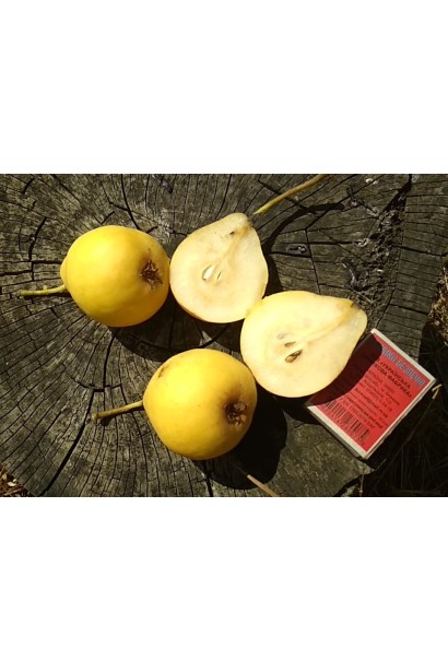 Груша Limonka м’якоть 